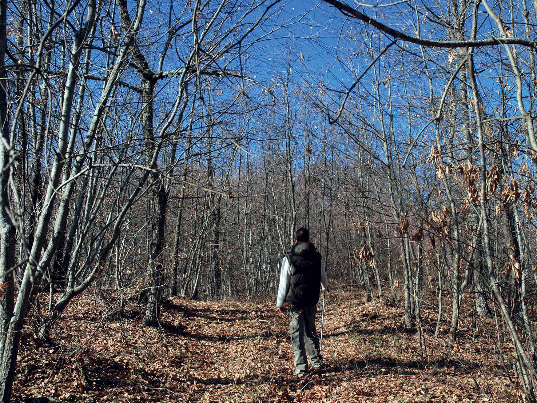 Dalla strada tra San Tommaso di Soveria Mannelli e Colosimi a Monte San Tommaso