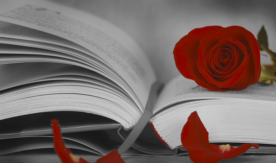 Festa del libro e delle rose