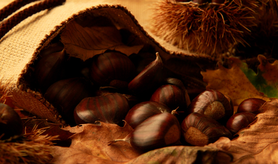 Porcini e castagne