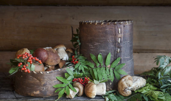 Zuppa di funghi alla nepitella