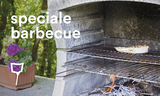 Speciale Barbecue