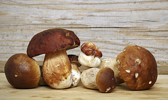 Porcini e castagne