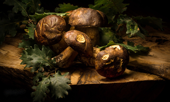 Porcini e castagne